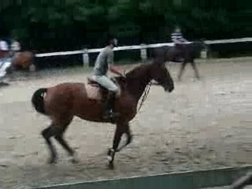 galop8