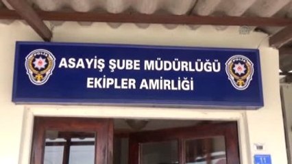 Kedi, Polis Merkezinde Doğurdu