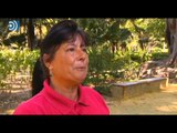 Una limpiadora fan de CSI resuelve el crimen del parque de María Luisa