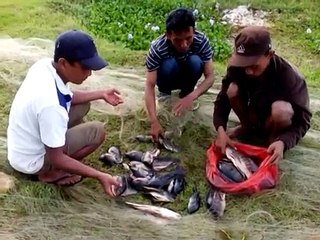 Jaring ikan di klungkung bali ( Fish fingers )