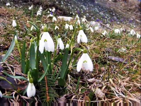 Emisiunea Radio-Tv Arthis din 27..04.2016/P2/ro.