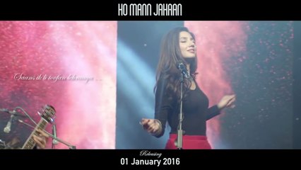 Dil Pagla (Ho Mann Jahaan) Lyrical - Zebunnisa Bangash