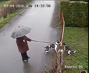 Хозяин на районе вписался за братана!