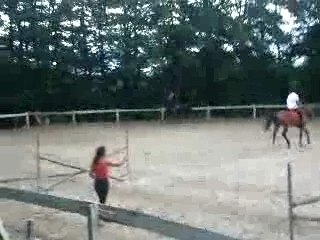 cours galops 8