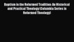 Book Baptism in the Reformed Tradition: An Historical and Practical Theology (Columbia Series