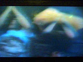 MADONNA  { THE GAMBLER }  " LIVE "