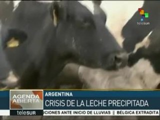 Argentina: se agudiza la crisis en el sector productivo de la leche