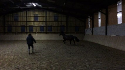 Hashtag Saut en liberté