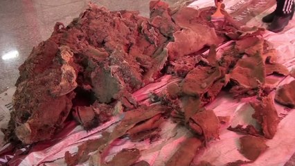 1,500-Year-Old Mummy Found Wearing 'Adidas' in Mongolia