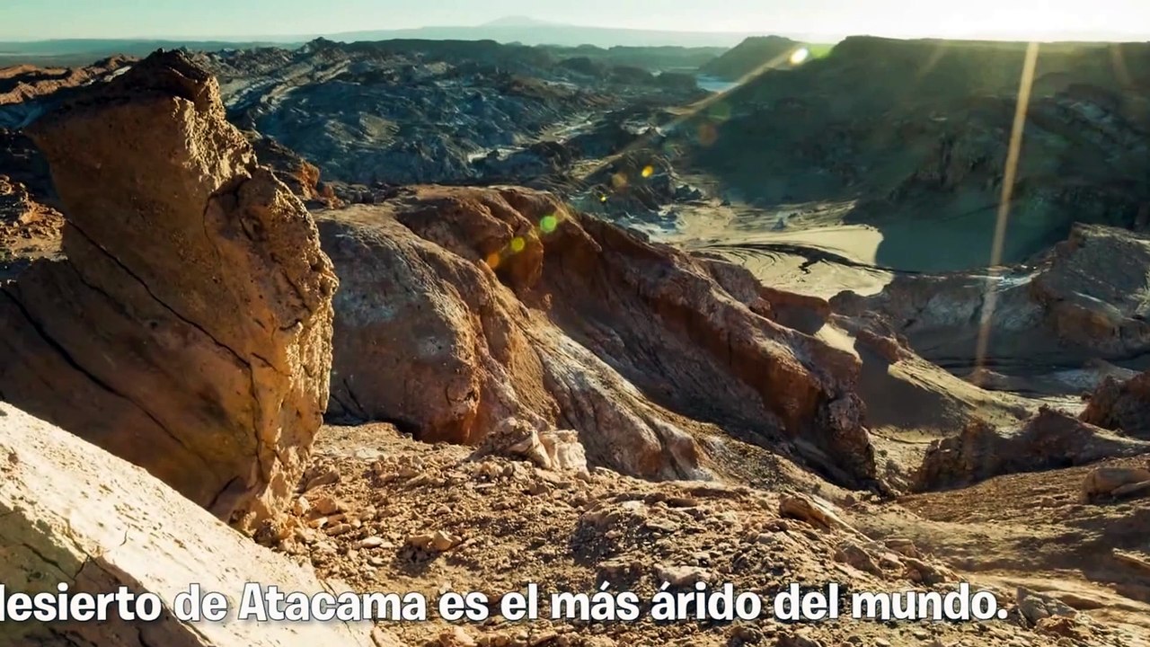 wild atacama desert