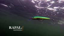 How Lures Swim: Rapala Saltwater X-Rap