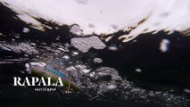 How Lures Swim: Rapala Skitterpop