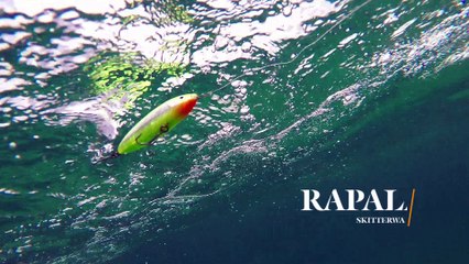 How Lures Swim: Rapala Skitterwalk