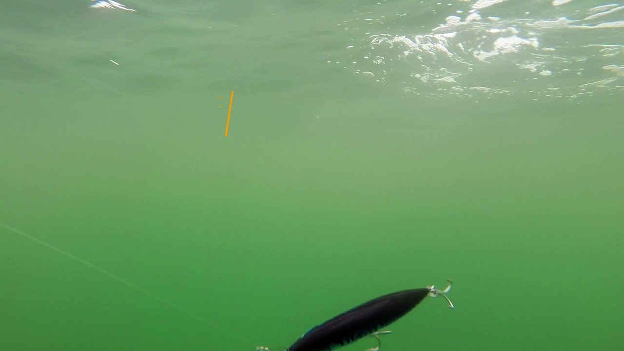 How Lures Swim: Rapala X-Rap Xtreme Action Slashbait