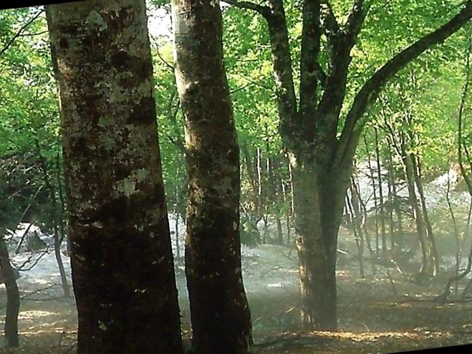 心にやさしい音楽　'更年期にやさしい音楽'～柔らかな日差し～Makiko　Hirohashi.  CD '更年期にやさしい音楽'広橋真紀子　新緑から紅葉までの柔らかい日差しに包まれた風景