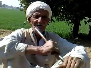 Punjabi Baba Sings Desi Song with Talented Voice