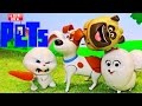 Disney | The Secret Life Of Pets NEW TOYS Illumination Snowball Gidget Max Mel Dogs & Rabbit by DisneyCarToys