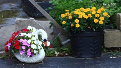 Top 5 Gardening Tips for the Perfect Summer Yard