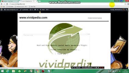 Best and High Quality social media Wordpress Plugin