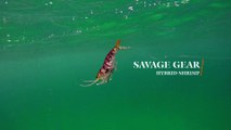 How Lures Swim: Savage Gear Hybrid Shrimp