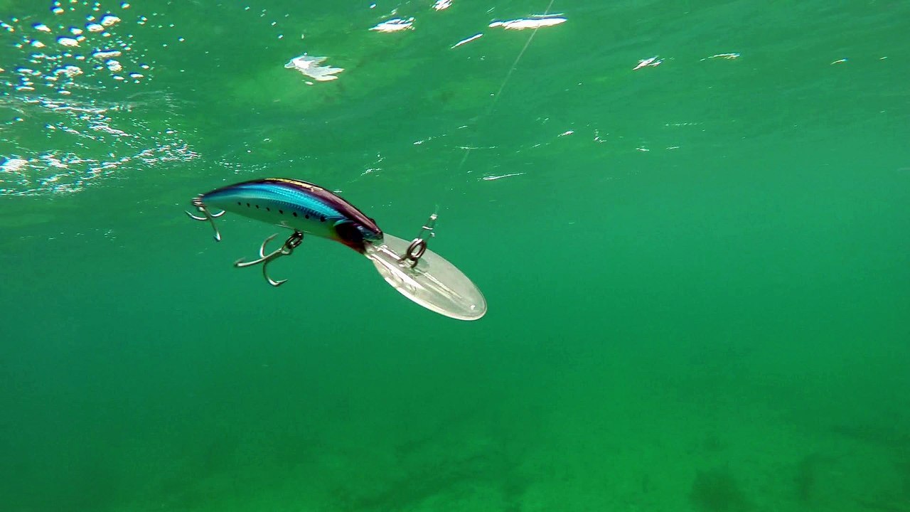 How Lures Swim: Savage Gear Manic Prey Deep Diver