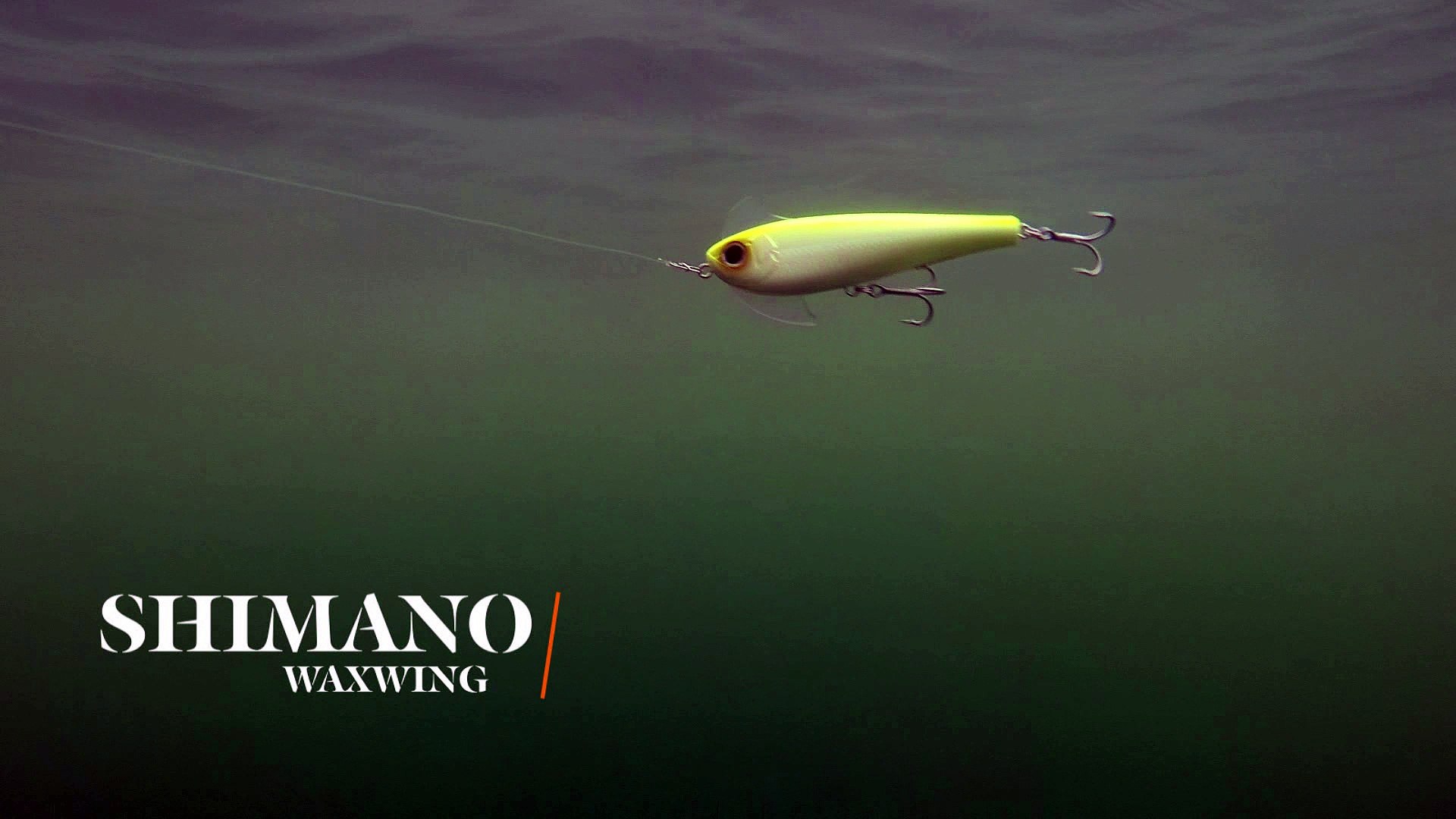 How Lures Swim: Shimano Waxwing - video Dailymotion