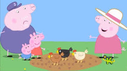 PEPPA PIG - AS GALINHAS DA VOVÓ