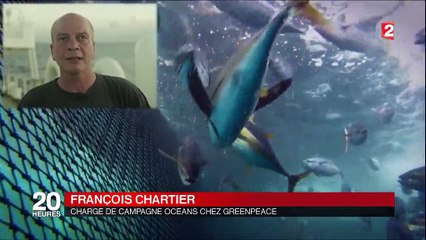 Surpêche : DCP, la technique qui fait des ravages