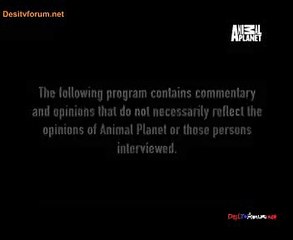Animal Planet Safari 3rd October 2014 Video Watch Online pt1