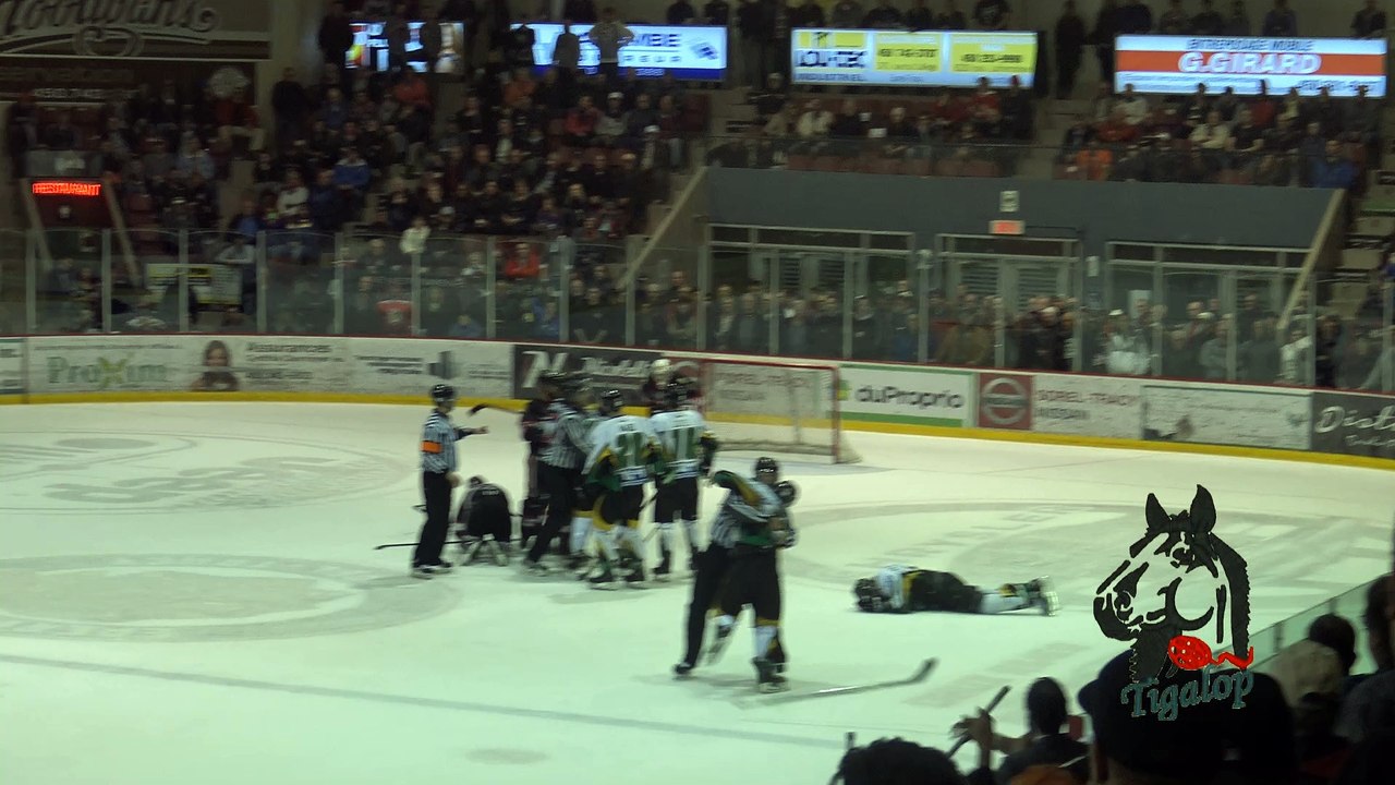 LNAH, coup bâton à DESCHATELETS, 23 Avril 2016