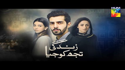 Zindagi Tujh Ko Jiya Episode 34 Promo HUM TV Drama 18 April 2016