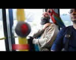 'Allah' diyen papağan metrobüs yolcularını hayrete düşürdü