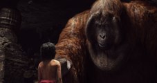 Through Mowgli's Eyes - Cold Lairs - Disney's The Jungle Book