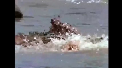 Barack Obama President one bes (7)