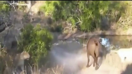 Barack Obama President one bes (9)