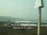 India Vlog 26 Sundarbans