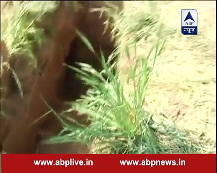 BSF detects secret tunnel from Pakistan to India in Jammus RS Pura sector