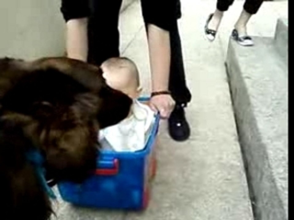 Thomas lors da sa journée de baptême