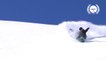 Skuff TV Snow | Big Mountain Snorkel Squad