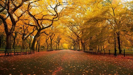 Dead As Disco - Journey [Jompa & Diversity Release]