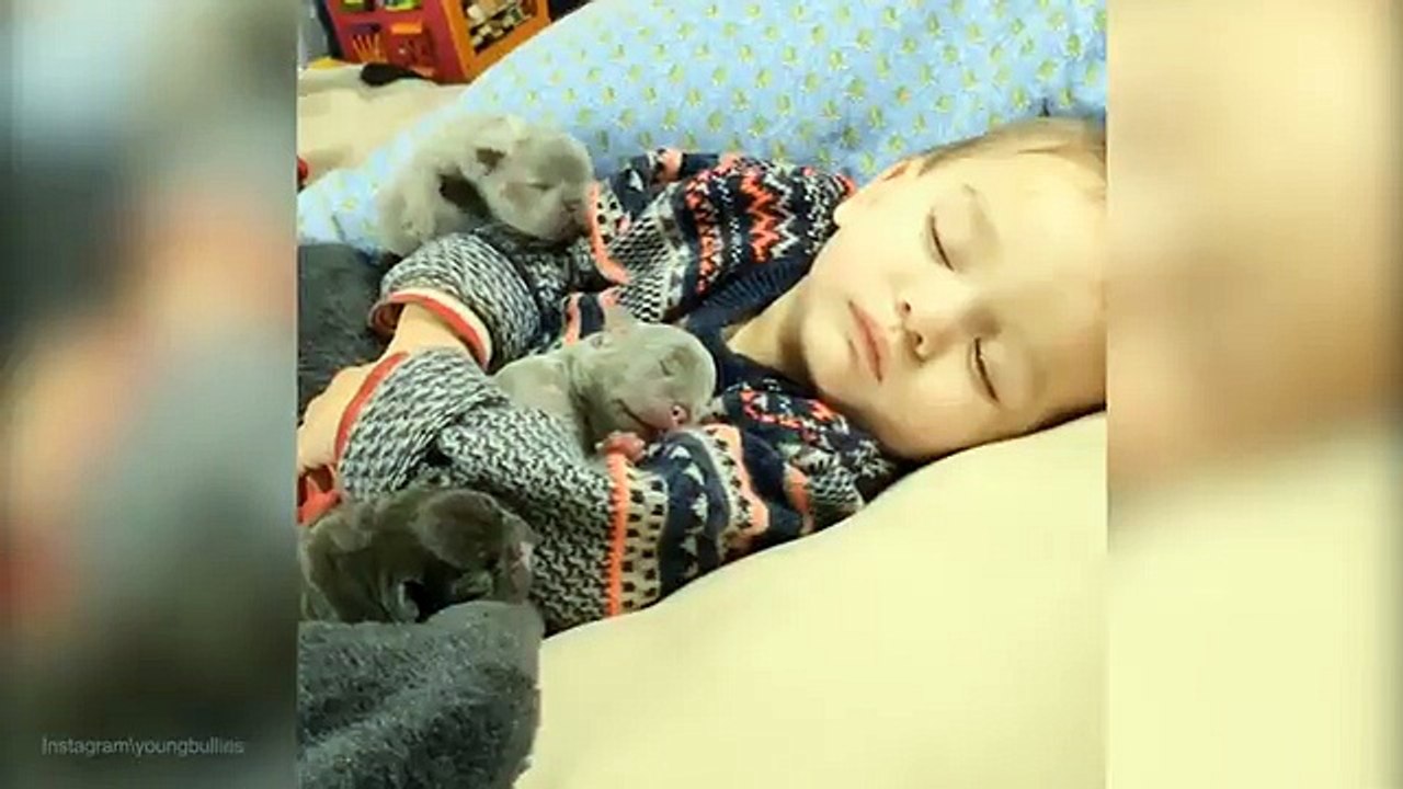 Tiny puppies snuggle up with adorable toddler for a nap _ Daily Mail Online
