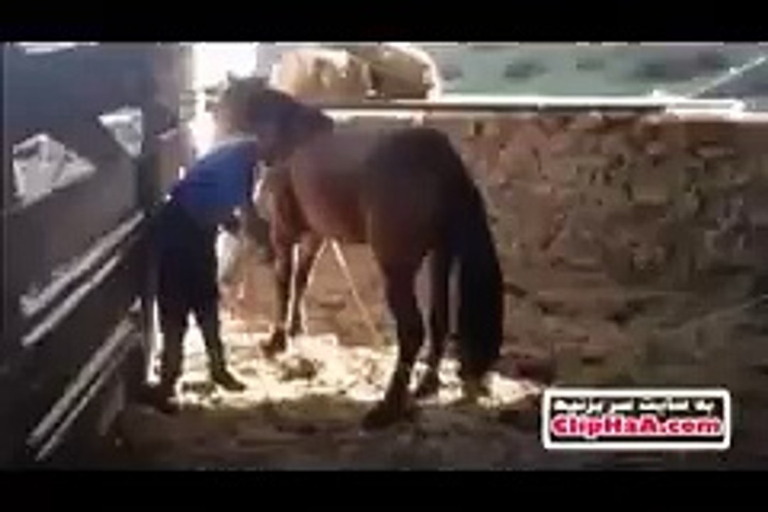 Horse pushing.  aahhaaa