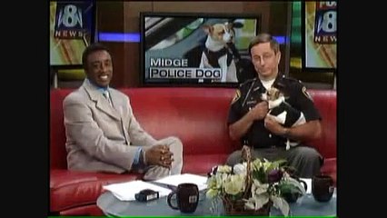 Worlds Smallest Police Dog