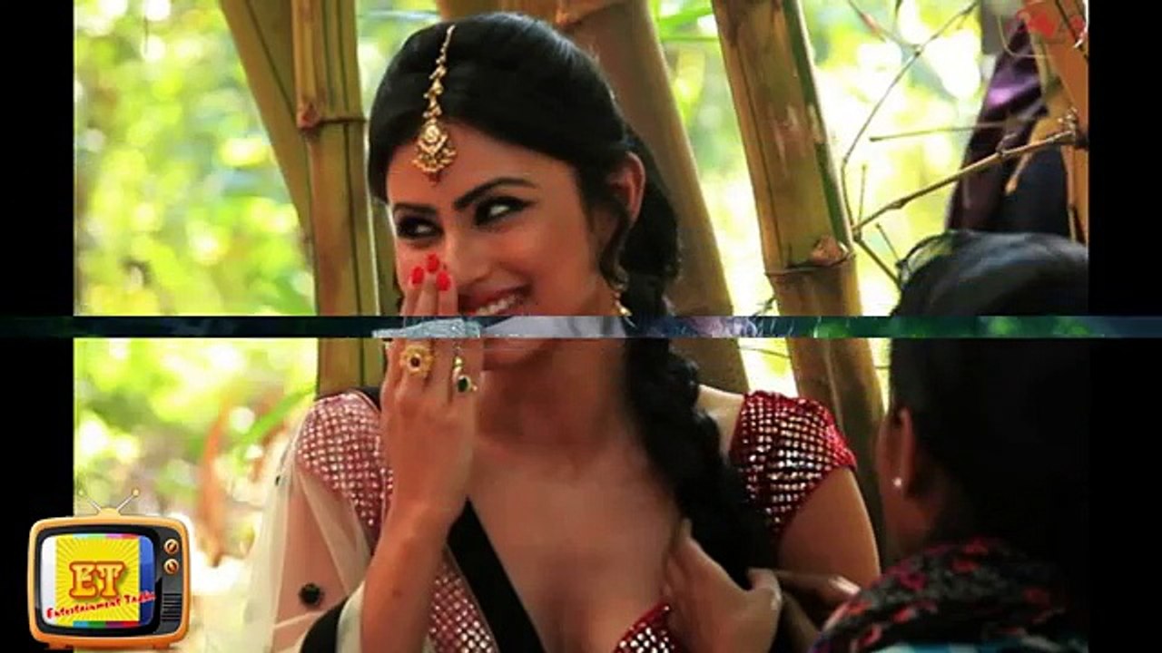 NAGIN Happy Ending - Shivanya to be pregnant!
