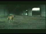 bridgestones le chien triste pub interdite Banned commercial