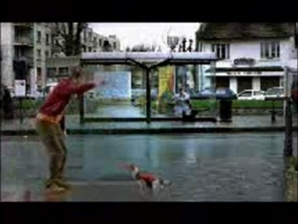 le chien The World Cup 2002 - Dog Kicked Banned Commercials
