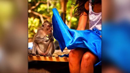 50 Funny Photos Taken At The Right Moment, Funny Images For WhatsApp