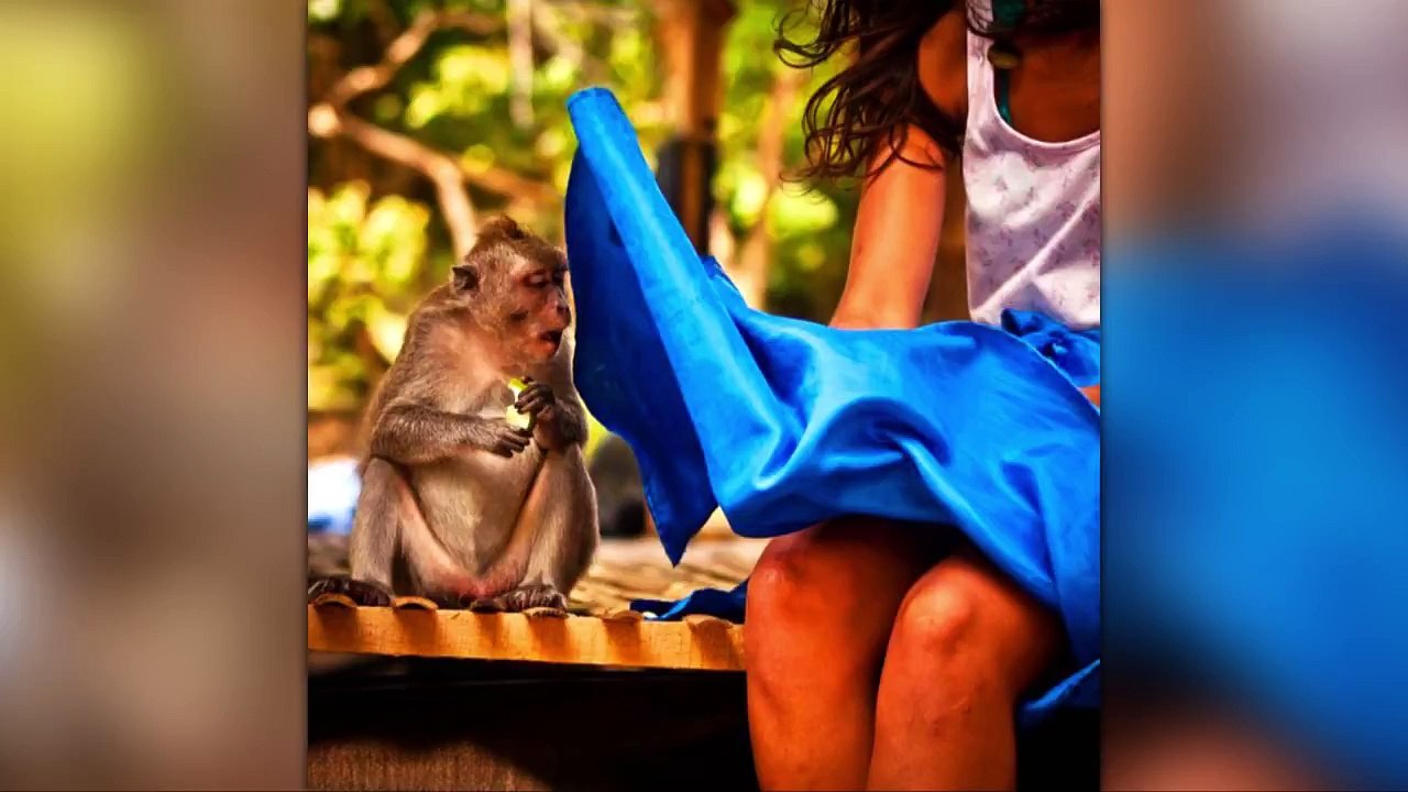 50 Funny Photos Taken At The Right Moment, Funny Images For WhatsApp