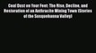 Ebook Coal Dust on Your Feet: The Rise Decline and Restoration of an Anthracite Mining Town