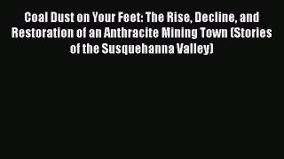 Ebook Coal Dust on Your Feet: The Rise Decline and Restoration of an Anthracite Mining Town